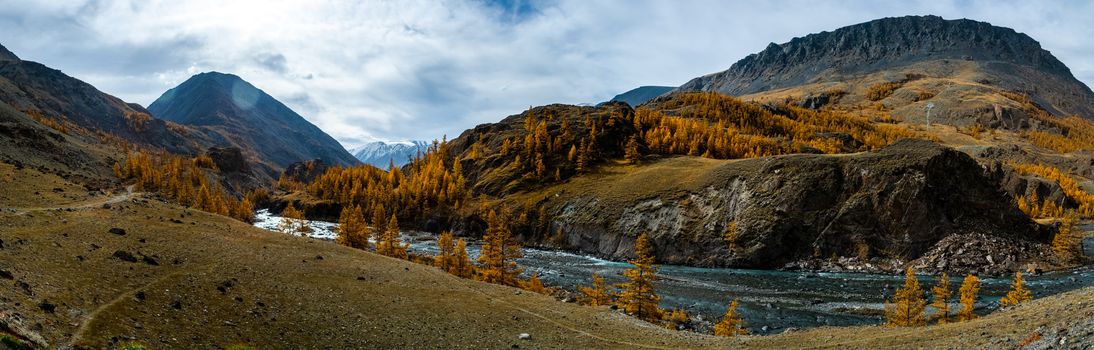 Panorama is the Altai, a mountain river flowing between the Altai mountains and the nature of the area.