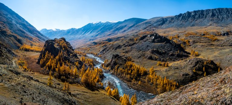 Panorama is the Altai, a mountain river flowing between the Altai mountains and the nature of the area.