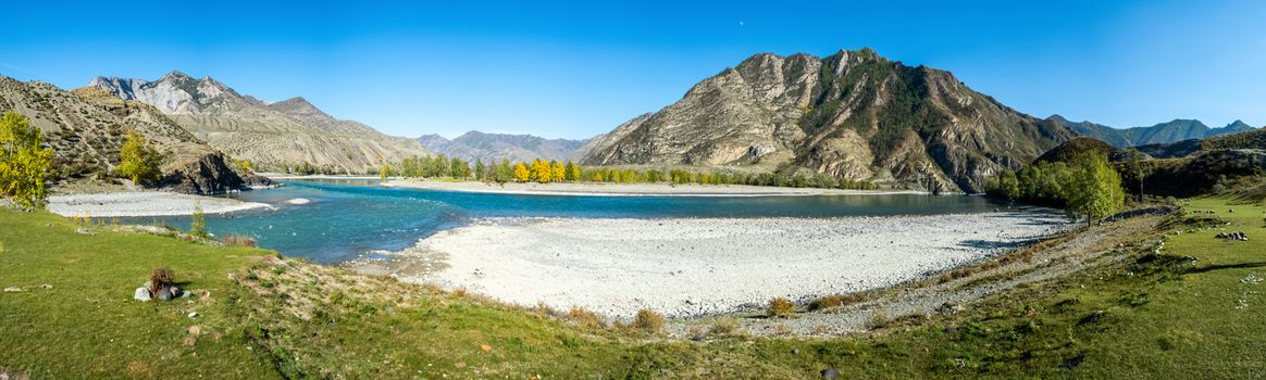 Panorama is the Altai, a mountain river flowing between the Altai mountains and the nature of the area.