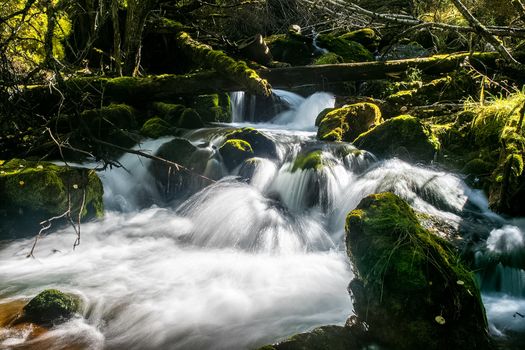 The mountain river flows over the rocks. The rivers are altai. Nature is altai.