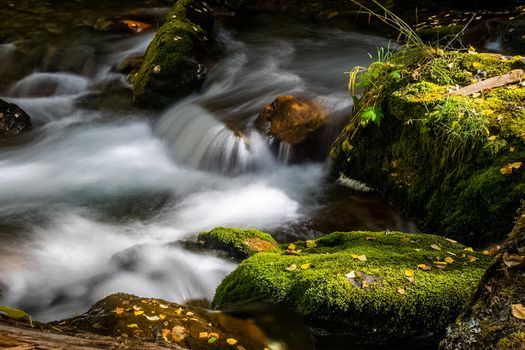The mountain river flows over the rocks. The rivers are altai. Nature is altai.