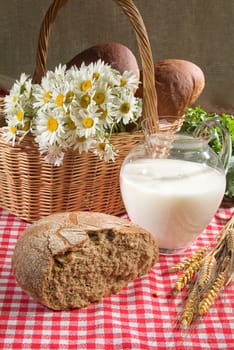 Different kinds of bread on a studio background