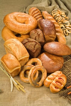 Different kinds of bread on a studio background