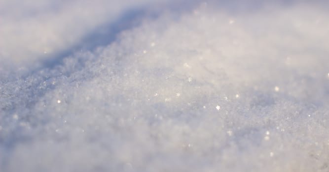 Clean, white snow close-up. Winter background. High quality photo