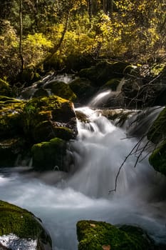 A small waterfall on a mountain river in the Altai. The Altai Mountain Rivers.