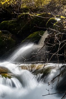 A small waterfall on a mountain river in the Altai. The Altai Mountain Rivers.