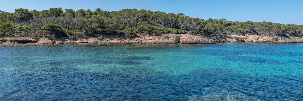 Discovery of the island of Porquerolles in summer. Deserted beaches and pine trees in this landscape of the French Riviera, Var.