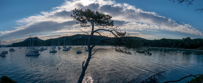 Discovery of the island of Porquerolles in summer. Deserted beaches and pine trees in this landscape of the French Riviera, Var.