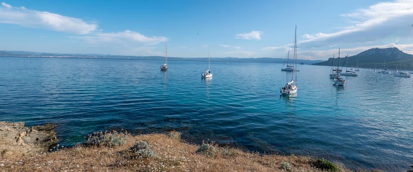 Discovery of the island of Porquerolles in summer. Deserted beaches and pine trees in this landscape of the French Riviera, Var.