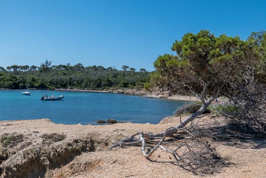 Discovery of the island of Porquerolles in summer. Deserted beaches and pine trees in this landscape of the French Riviera, Var.