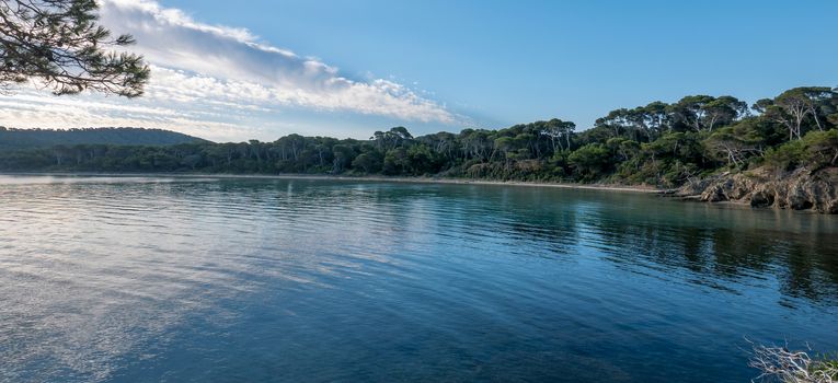 Discovery of the island of Porquerolles in summer. Deserted beaches and pine trees in this landscape of the French Riviera, Var.