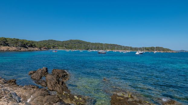 Discovery of the island of Porquerolles in summer. Deserted beaches and pine trees in this landscape of the French Riviera, Var.