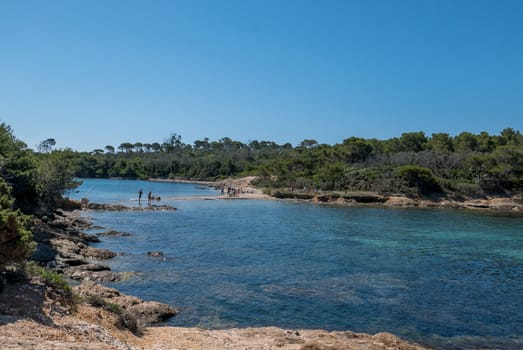 Discovery of the island of Porquerolles in summer. Deserted beaches and pine trees in this landscape of the French Riviera, Var.