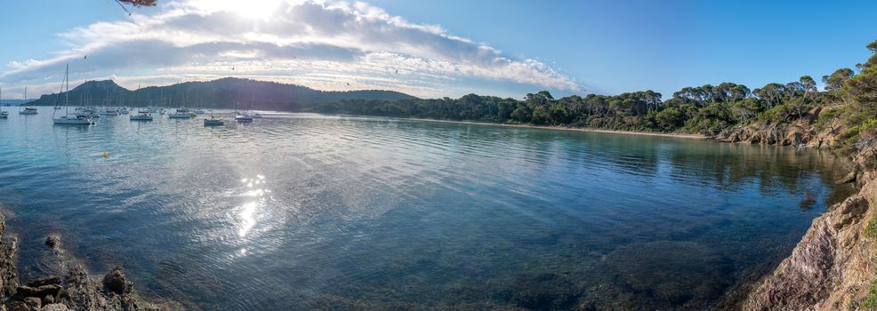 Discovery of the island of Porquerolles in summer. Deserted beaches and pine trees in this landscape of the French Riviera, Var.