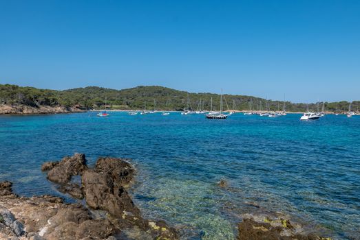 Discovery of the island of Porquerolles in summer. Deserted beaches and pine trees in this landscape of the French Riviera, Var.