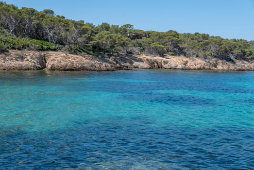 Discovery of the island of Porquerolles in summer. Deserted beaches and pine trees in this landscape of the French Riviera, Var.