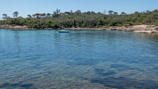 Discovery of the island of Porquerolles in summer. Deserted beaches and pine trees in this landscape of the French Riviera, Var.