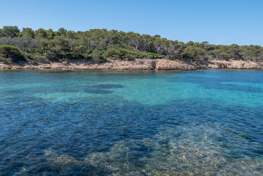 Discovery of the island of Porquerolles in summer. Deserted beaches and pine trees in this landscape of the French Riviera, Var.