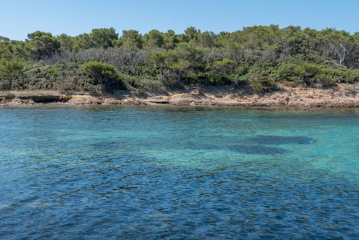 Discovery of the island of Porquerolles in summer. Deserted beaches and pine trees in this landscape of the French Riviera, Var.