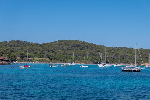 Discovery of the island of Porquerolles in summer. Deserted beaches and pine trees in this landscape of the French Riviera, Var.