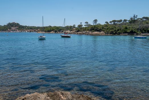 Discovery of the island of Porquerolles in summer. Deserted beaches and pine trees in this landscape of the French Riviera, Var.