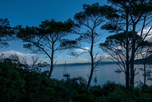 Discovery of the island of Porquerolles in summer. Deserted beaches and pine trees in this landscape of the French Riviera, Var.