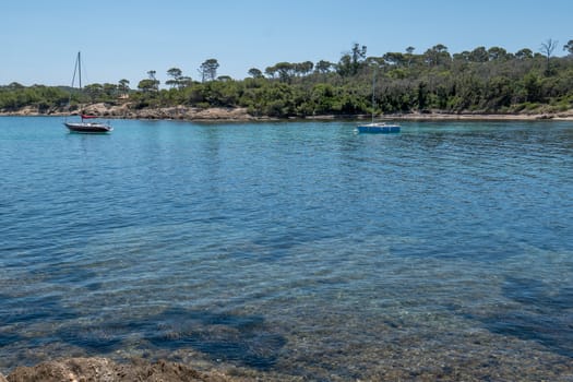 Discovery of the island of Porquerolles in summer. Deserted beaches and pine trees in this landscape of the French Riviera, Var.