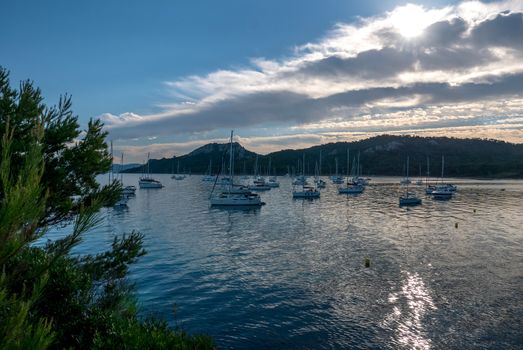 Discovery of the island of Porquerolles in summer. Deserted beaches and pine trees in this landscape of the French Riviera, Var.