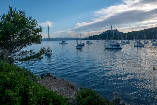 Discovery of the island of Porquerolles in summer. Deserted beaches and pine trees in this landscape of the French Riviera, Var.