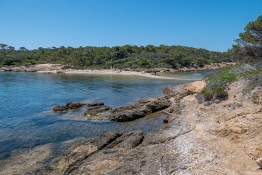 Discovery of the island of Porquerolles in summer. Deserted beaches and pine trees in this landscape of the French Riviera, Var.