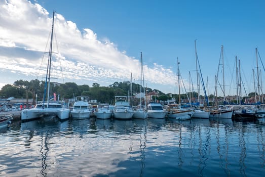 Discovery of the island of Porquerolles in summer. Deserted beaches and pine trees in this landscape of the French Riviera, Var.