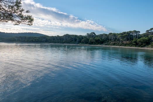 Discovery of the island of Porquerolles in summer. Deserted beaches and pine trees in this landscape of the French Riviera, Var.