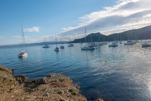 Discovery of the island of Porquerolles in summer. Deserted beaches and pine trees in this landscape of the French Riviera, Var.