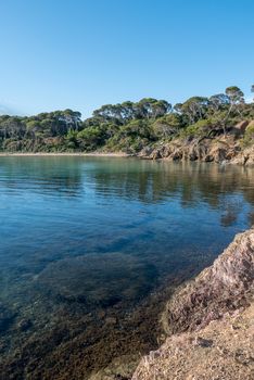 Discovery of the island of Porquerolles in summer. Deserted beaches and pine trees in this landscape of the French Riviera, Var.
