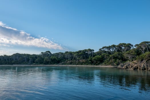 Discovery of the island of Porquerolles in summer. Deserted beaches and pine trees in this landscape of the French Riviera, Var.