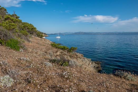 Discovery of the island of Porquerolles in summer. Deserted beaches and pine trees in this landscape of the French Riviera, Var.