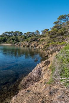 Discovery of the island of Porquerolles in summer. Deserted beaches and pine trees in this landscape of the French Riviera, Var.