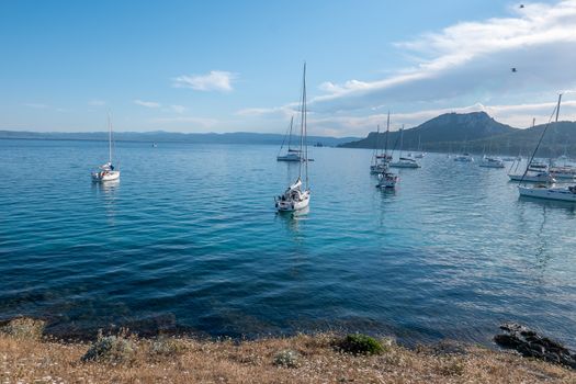 Discovery of the island of Porquerolles in summer. Deserted beaches and pine trees in this landscape of the French Riviera, Var.