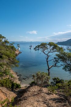 Discovery of the island of Porquerolles in summer. Deserted beaches and pine trees in this landscape of the French Riviera, Var.
