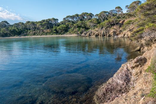 Discovery of the island of Porquerolles in summer. Deserted beaches and pine trees in this landscape of the French Riviera, Var.