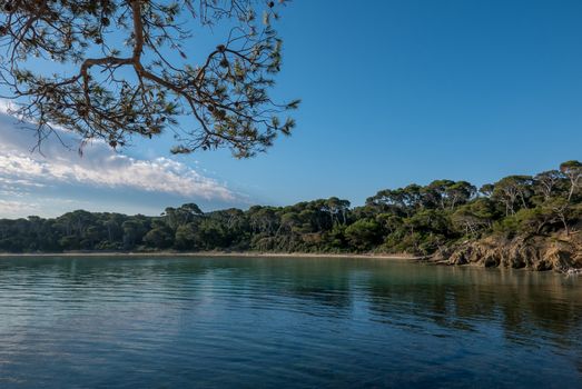 Discovery of the island of Porquerolles in summer. Deserted beaches and pine trees in this landscape of the French Riviera, Var.