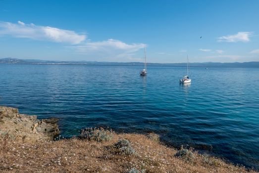 Discovery of the island of Porquerolles in summer. Deserted beaches and pine trees in this landscape of the French Riviera, Var.