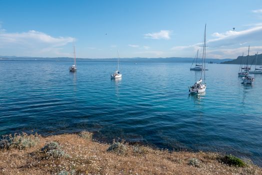 Discovery of the island of Porquerolles in summer. Deserted beaches and pine trees in this landscape of the French Riviera, Var.