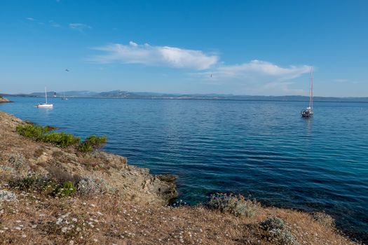 Discovery of the island of Porquerolles in summer. Deserted beaches and pine trees in this landscape of the French Riviera, Var.