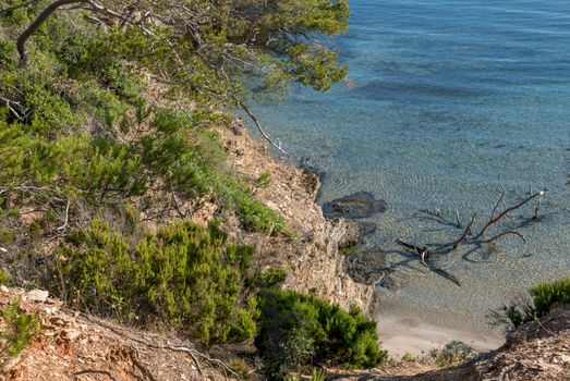 Discovery of the island of Porquerolles in summer. Deserted beaches and pine trees in this landscape of the French Riviera, Var.