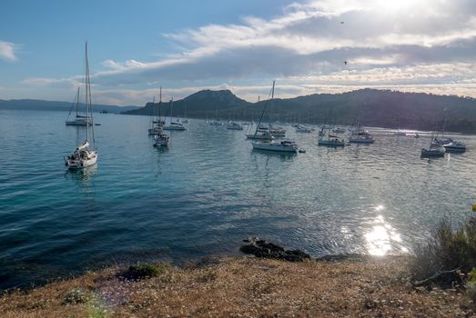 Discovery of the island of Porquerolles in summer. Deserted beaches and pine trees in this landscape of the French Riviera, Var.