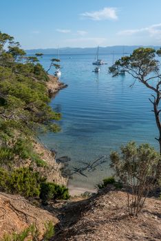 Discovery of the island of Porquerolles in summer. Deserted beaches and pine trees in this landscape of the French Riviera, Var.