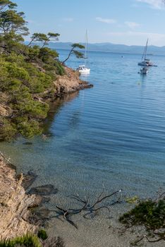 Discovery of the island of Porquerolles in summer. Deserted beaches and pine trees in this landscape of the French Riviera, Var.