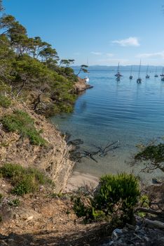 Discovery of the island of Porquerolles in summer. Deserted beaches and pine trees in this landscape of the French Riviera, Var.