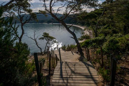 Discovery of the island of Porquerolles in summer. Deserted beaches and pine trees in this landscape of the French Riviera, Var.